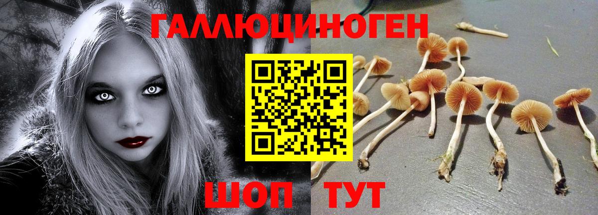 Псилоцибиновые грибы мицелий Белово