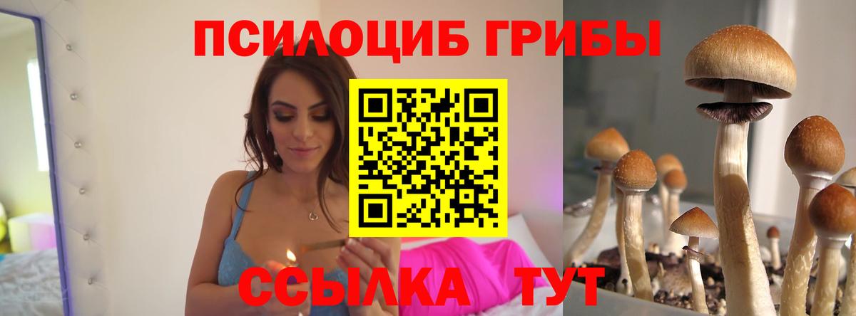 Псилоцибиновые грибы Magic Shrooms  Псилоцибиновые грибы MAGIC MUSHROOMS  Вход с VPN  Белово 